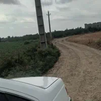 زمین کشاورزی باغی۱کیلومتری ترمینال باآب قابل معاوض|فروش زمین و ملک کلنگی|گرگان, |دیوار