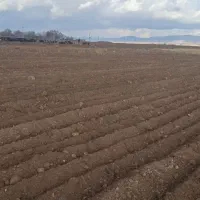 اجاره زمین کشاورزی|اجارهٔ دفتر صنعتی، کشاورزی، تجاری|قره پشتلو, |دیوار