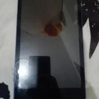 تبلت لنووا|تبلت|محمدشهر, محمدشهر|دیوار