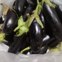 بادنجون لتحر به شرط، پرداخت بعد از سرخ کردن|خوردنی و آشامیدنی|کاشان, لتحر|دیوار