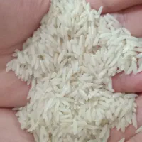 برنج هاشمی