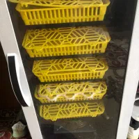 دستگاه جوجه کشی|لوازم جانبی حیوانات|بهبهان, |دیوار