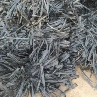 خرید و فروش نوار تیپ