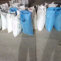 گندم تمیز