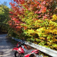 تریل کویر T2|موتورسیکلت|ساری, |دیوار