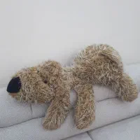 عروسک|اسباب‌بازی بچه|قرچک, شهرک طلائیه|دیوار