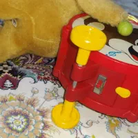 اسباب بازی درحد|اسباببازی بچه|گنبد کاووس, |دیوار