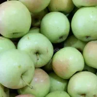 سیب گلاب خوشمزه درجه ۱