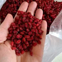 فروش عمده و خرد زعفران و زرشک و هل