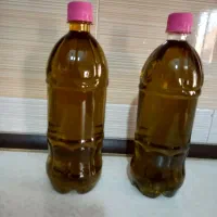 روغن زیتون اصل طارم علیا