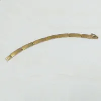 بدلیجات