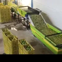 دستگاه سورتینگ یک متری