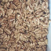 مغز  گردو|عمده‌فروشی|بوشهر, |دیوار