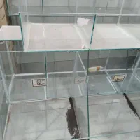 قفسه شیشه ای .فروشگاهی|فروشگاه و مغازه|نیشابور, هفده شهریور|دیوار