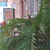 فروش خانه ویلای|فروش خانه و ویلا|قلعه شاهین, |دیوار