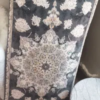 دوجفت پیشتی نوی نو تراکم 1200