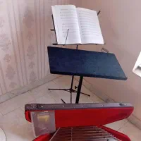 سنتور گردو|سازهای سنتی|یزد, |دیوار