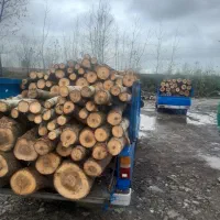 خرید و برشکاری چوب و درخت