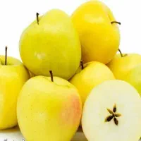 مرکز فروش اینترنتی نهال شناسه دار(سیب زرد)|خدمات باغبانی و درختکاری|ازنا, |دیوار