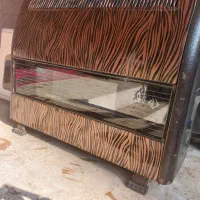 بخاری بزرگ سالم