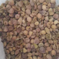 فروش یک تن انجیر ضایعات