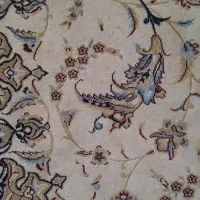 یک جفت فرش ۱۲ متری سالم در حد نو|فرش|شیراز, غدیر جنوبی|دیوار