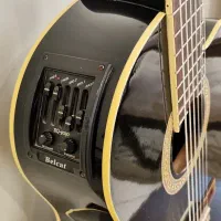 گیتار کلاسیک هافنر پیکاپ دار|گیتار، بیس، امپلیفایر|تهران, میدان ولیعصر|دیوار