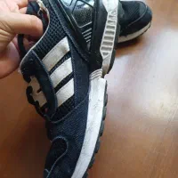 کفش zx8000|کیف، کفش، کمربند|تهران, گمرک|دیوار