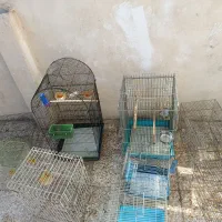 قفس کاسکوی  قناری