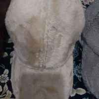 کلاه تدی دخترانه هدوکیف مجلسی