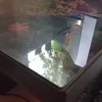 میز عسلی بزرگ|مبلمان خانگی و میز عسلی|فردیس, شهرک ناز|دیوار