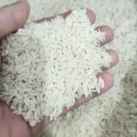 برنج هاشمی درجه۱|خوردنی و آشامیدنی|پرند, فاز ۲|دیوار