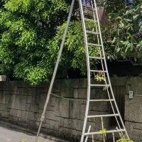 خرید هیزم چوب خشک و هرس درختان باغ|خدمات باغبانی و درختکاری|کرج, شهرک احمدیه‎|دیوار