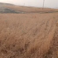 چراگاه (جار)