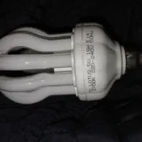 لامپ شمعی کم مصرف طرح گل|لامپ و چراغ|تهران, جوادیه تهرانپارس|دیوار