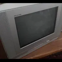 تلویزیون