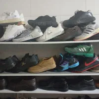 انواع کفش مردانه وزنانه|کیف، کفش، کمربند|جوانرود, |دیوار