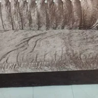 مبل|مبلمان خانگی و میز عسلی|سمنان, |دیوار