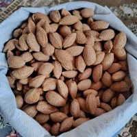 بادام