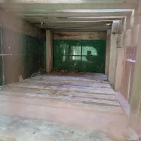 کبوتر|لوازم جانبی حیوانات|اهواز, کوی علوی|دیوار