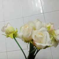 گل وگلدان|گل مصنوعی|قم, باغ شریفی|دیوار