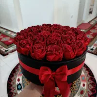 انواع باکس جاودان با رنگبندی ویژه