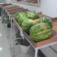 چند تا طبقه و اینه برا میوه فروشی