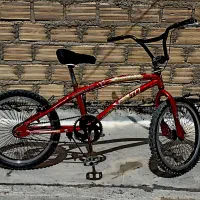 دوچرخه حرفه‌ای