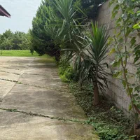 ویلا سرسبز و دنج در صومعه سرا|اجارهٔ کوتاهمدت ویلا و باغ|گوراب زرمیخ, |دیوار