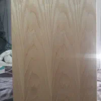 کاخن Apmex حرفه ای