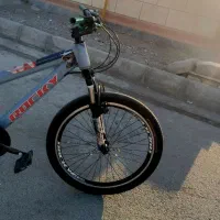 شادگان