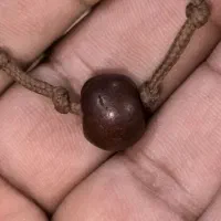 هبهاب کولی مغربی کهنه اصلی