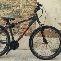 دو عدد دوچرخه ویوا