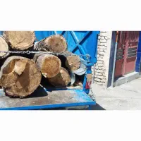 خرید فروش انواع چوب هرس